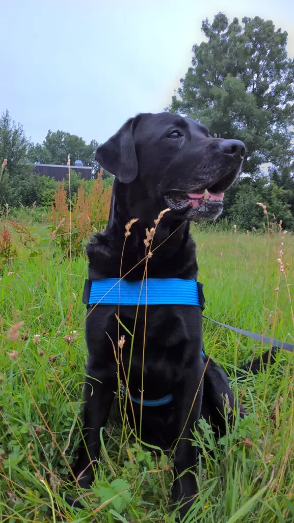 Andachtsbild von Susanne mit Carlos im Herzen