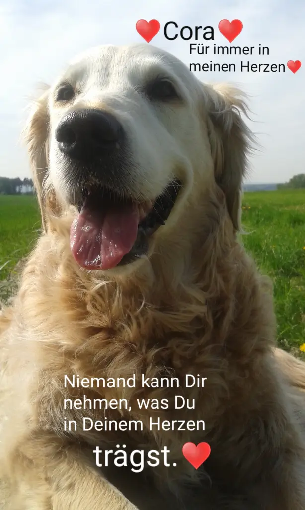 Condolence image of Unbekannt