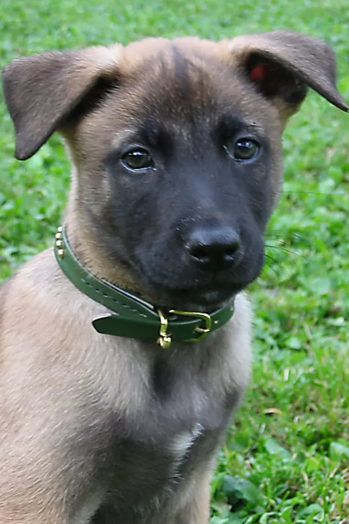 Image from Shakty