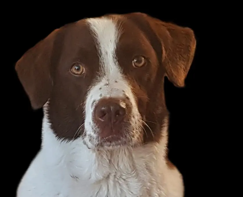 Condolence image of Marion