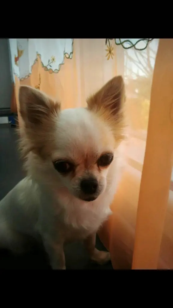 Condolence image of Tina