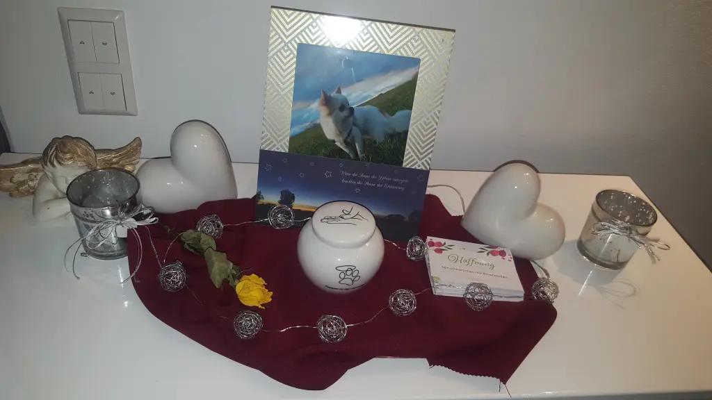 Condolence image of Tanja