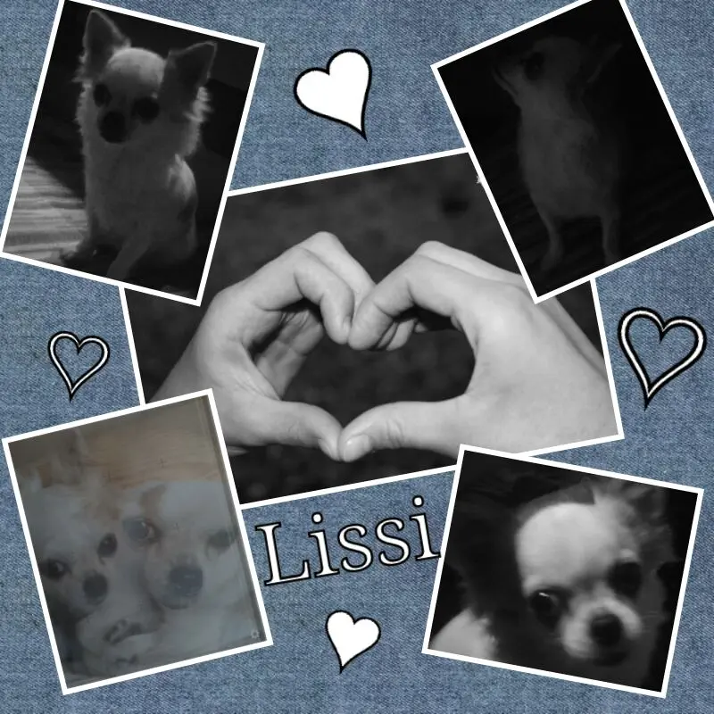 Image from Lissi