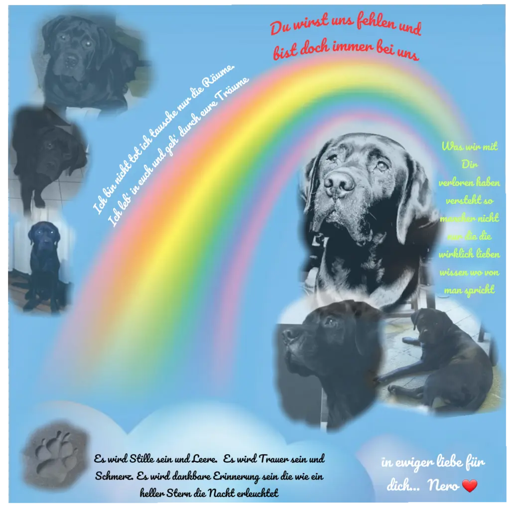 Andachtsbild von Antonio und Francesca