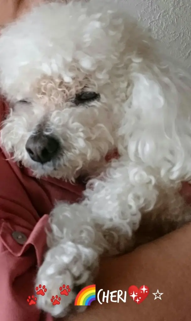 Andachtsbild von Angela