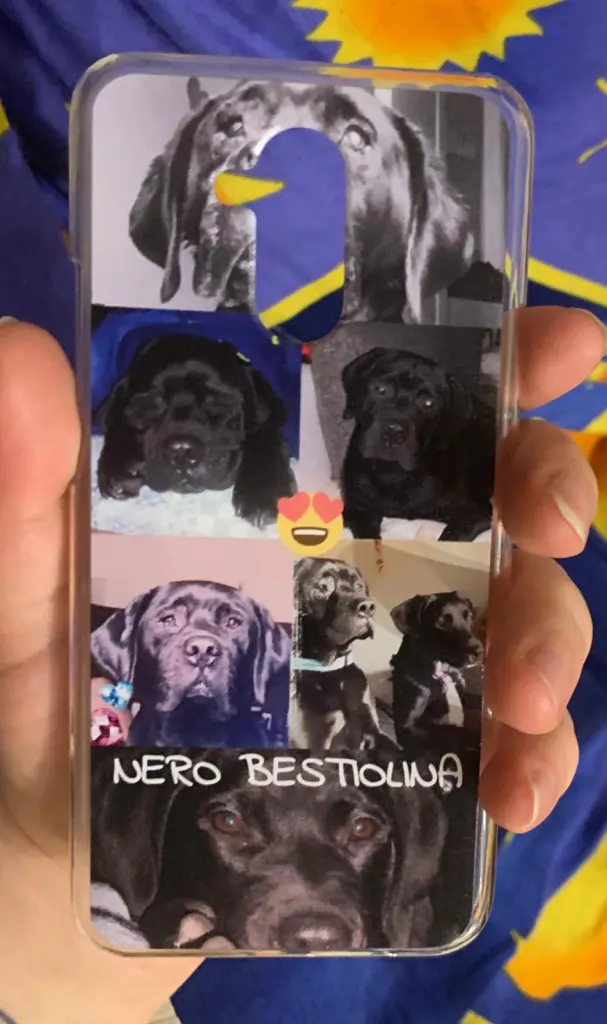 Andachtsbild von Sofia