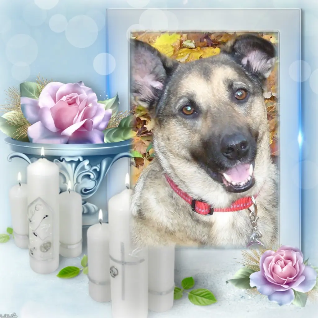Condolence image of ❤️❤️❤️ALLEHEILIGEN❤️❤️❤️
