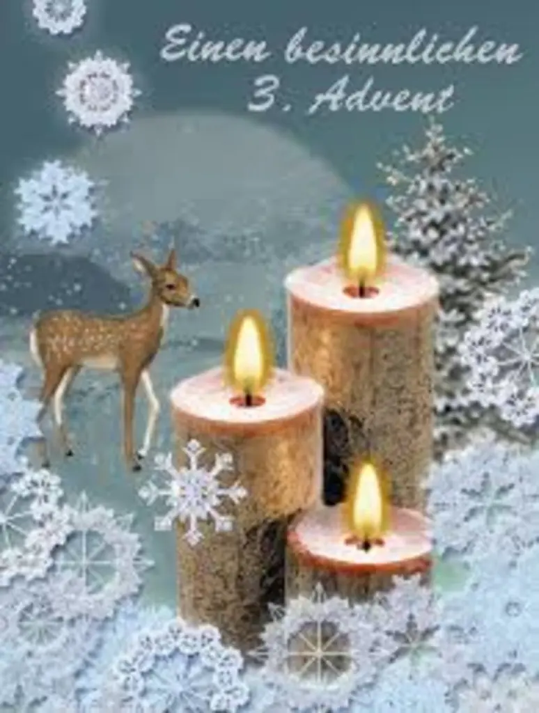 Condolence image of Brigitte mit Nelly, Benny und Axel im Herzen