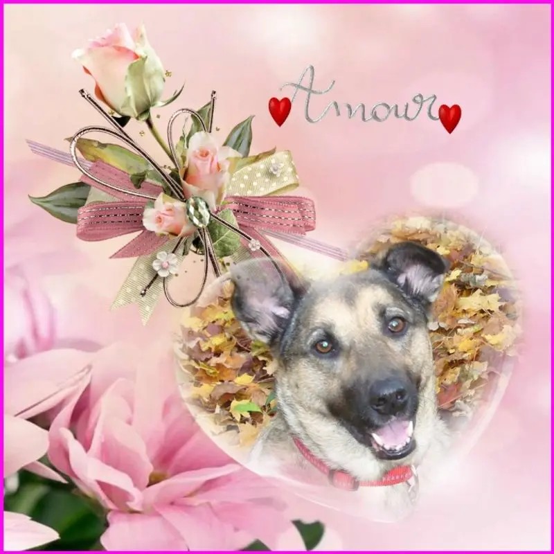 Condolence image of ❤️❤️❤️3.STERNCHEN❤️GEDENKTAG❤️