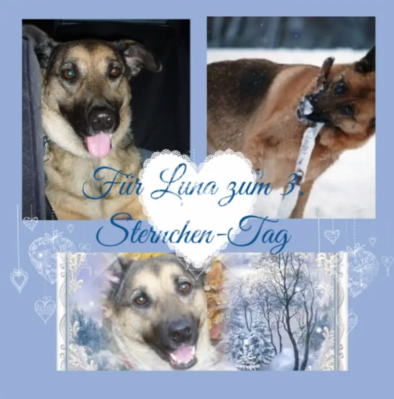 Condolence image of Für Luna zum 3. Sternchen-Tag