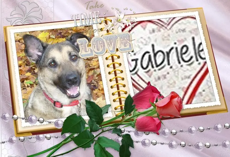 Condolence image of Guten Morgen❤️❤️❤️