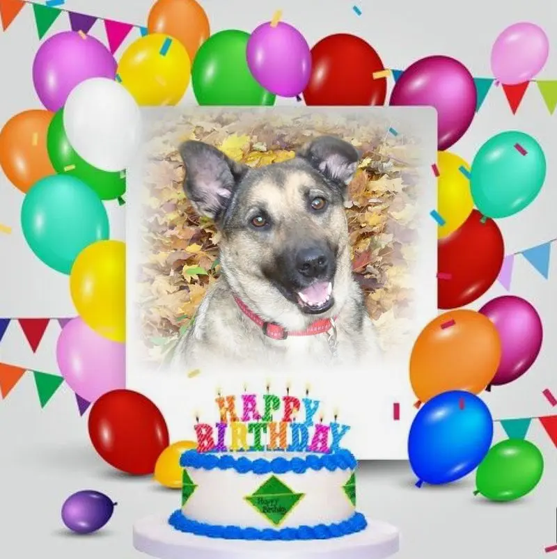 Condolence image of GEBURTSTAG❤️❤️❤️KIND❤️