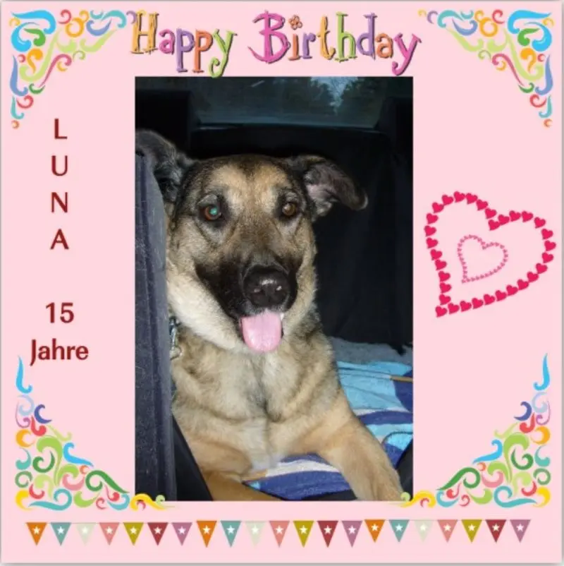Condolence image of Rosen für Luna zum 15. Geburtstag