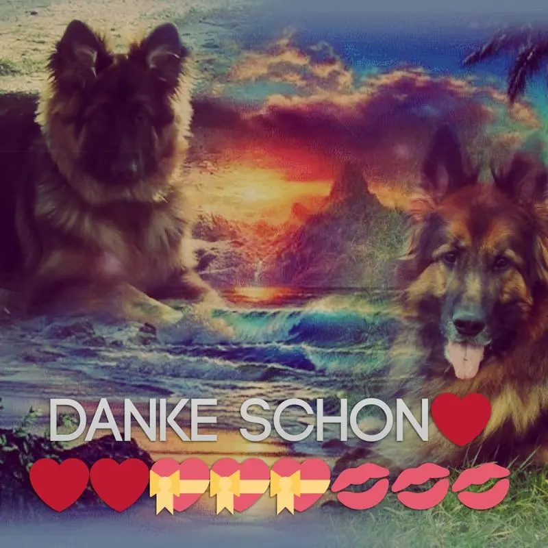 Condolence image of DANKE SCHON❤️❤️❤️
