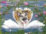 Condolence image of ❤️❤️❤️❤️❤️❤️❤️❤️❤️❤️❤️❤️❤️❤️