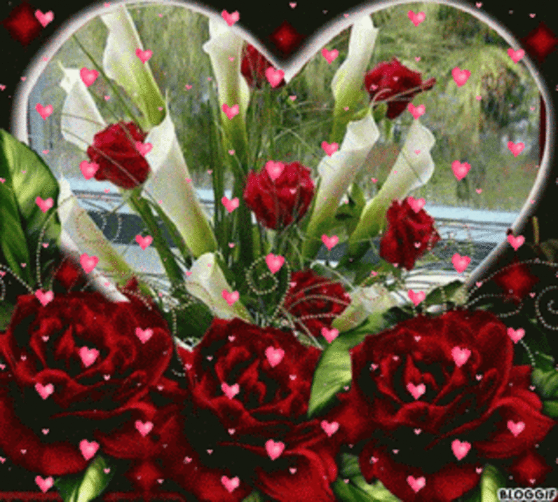 Condolence image of Guten Morgen❤️❤️❤️