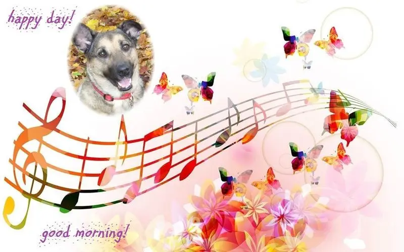 Condolence image of Guten Morgen❤️❤️❤️