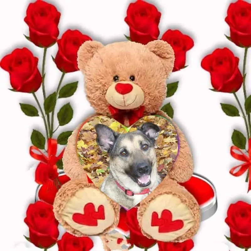Condolence image of ❤️❤️❤️❤️❤️❤️❤️❤️❤️❤️❤️❤️❤️❤️