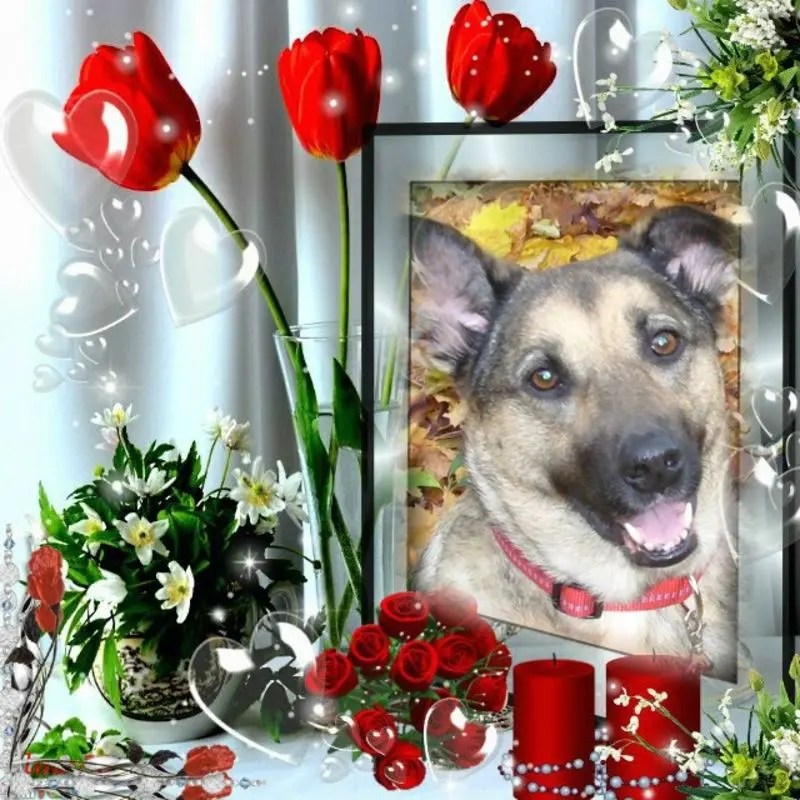 Condolence image of Guten Morgen❤️❤️❤️