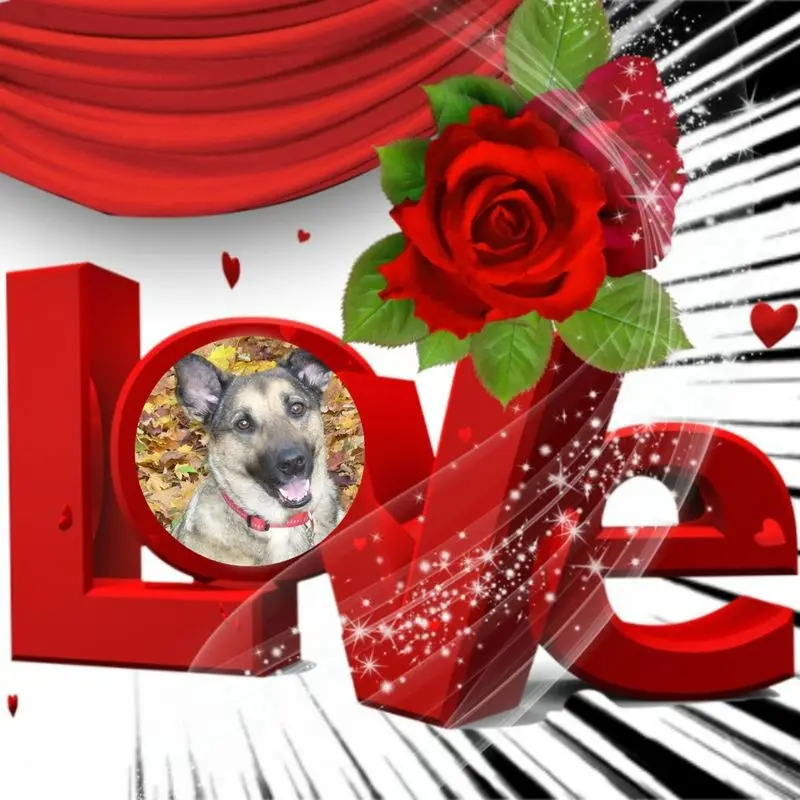 Condolence image of Fur Lunchen❤️