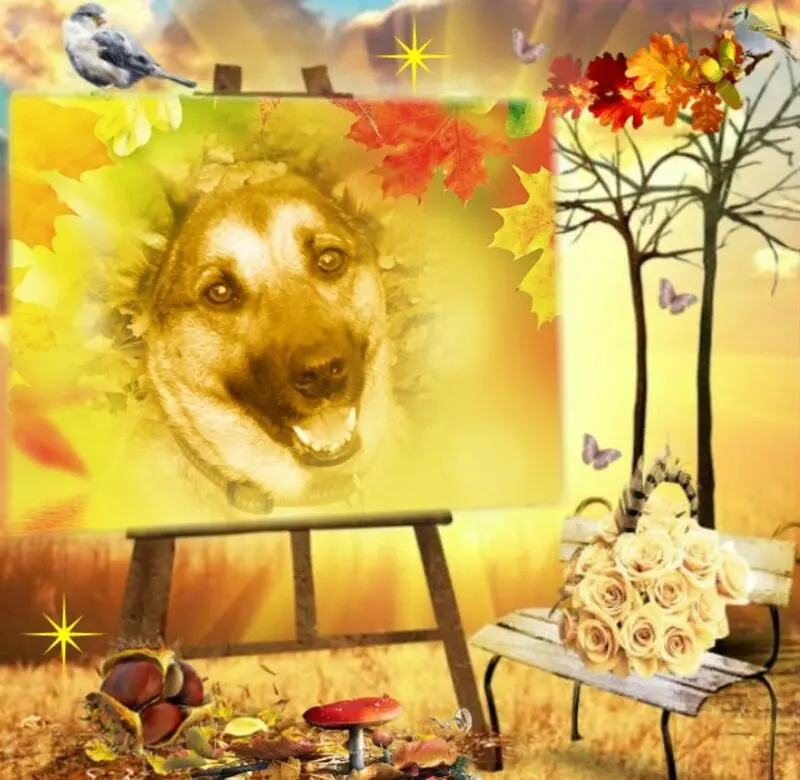 Condolence image of Fur Lunchen❤️