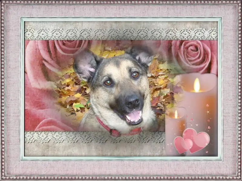 Condolence image of ❤️❤️❤️❤️❤️❤️❤️❤️❤️❤️❤️❤️❤️❤️