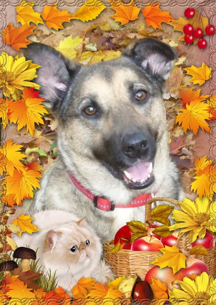 Condolence image of Fur Lunchen❤️und Gabs❤️