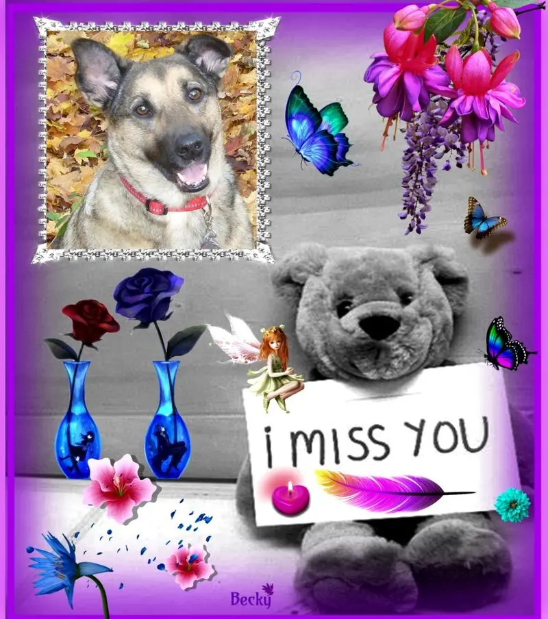Condolence image of ❤️❤️❤️❤️❤️❤️❤️❤️❤️❤️❤️❤️❤️❤️