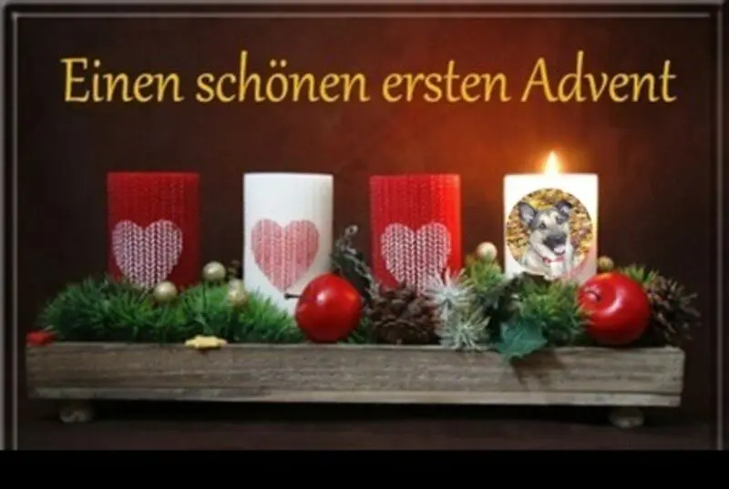 Condolence image of 1.Advent❤️
