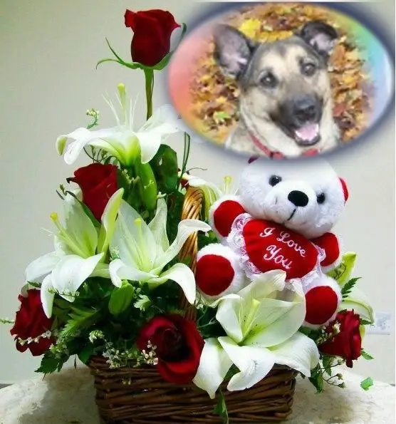 Condolence image of ❤️❤️❤️❤️❤️❤️❤️❤️❤️❤️❤️❤️