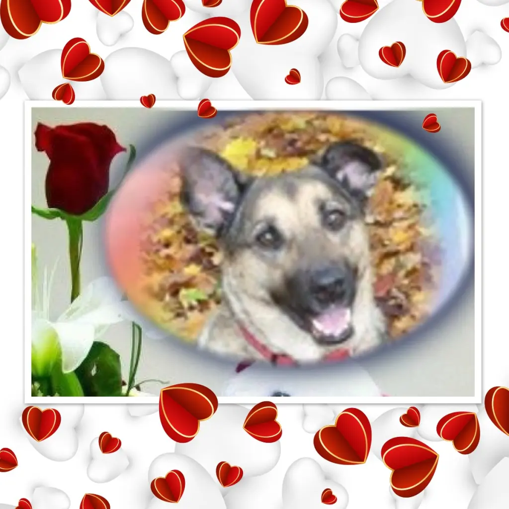 Condolence image of Fur meine Liebste❤️❤️❤️❤️❤️❤️❤️Lunchen❤️