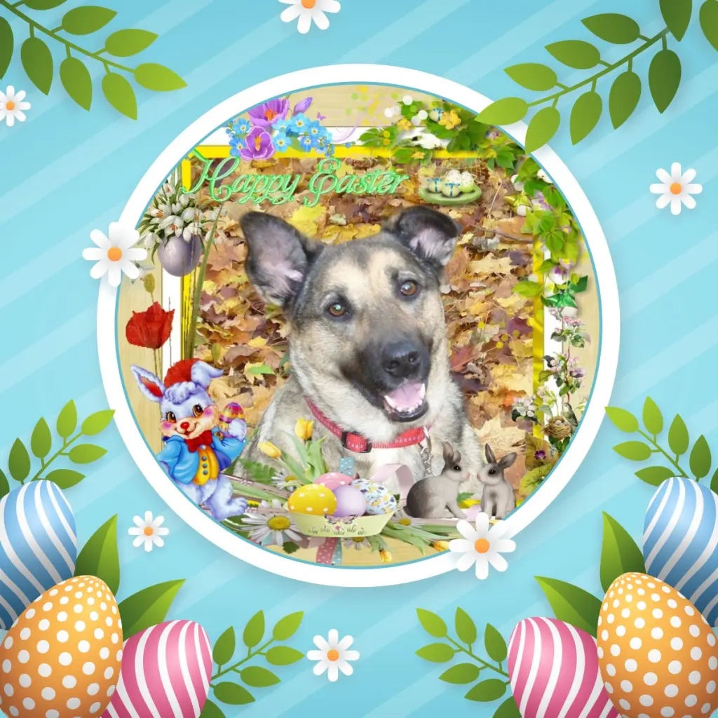 Condolence image of Frohe❤️❤️❤️Ostern❤️