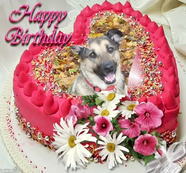 Condolence image of 16.Geburtstag❤️❤️❤️❤️❤️❤️❤️❤️❤️❤️❤️❤️❤️❤️❤️❤️❤️