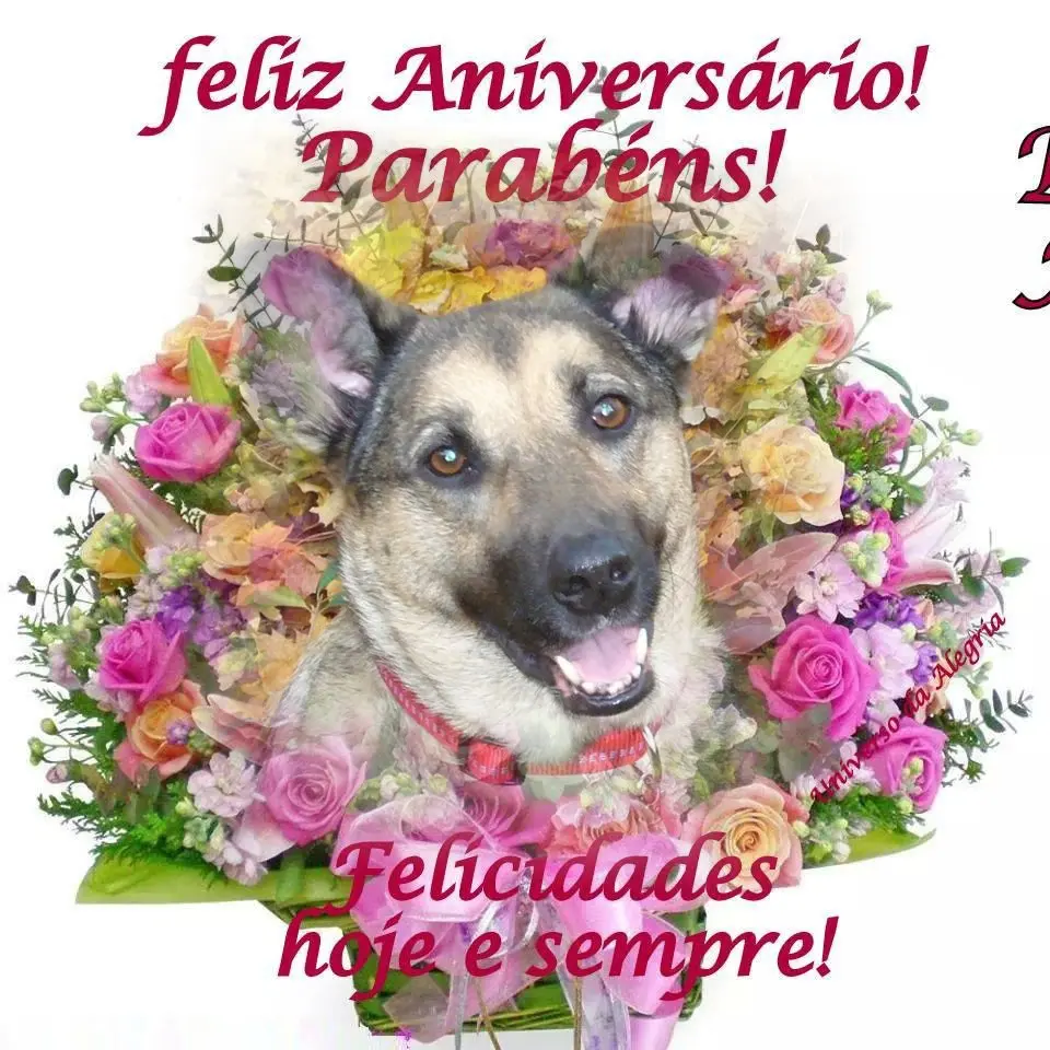 Condolence image of 16.Geburtstag❤️❤️❤️❤️❤️❤️❤️❤️❤️❤️❤️❤️❤️❤️❤️❤️❤️