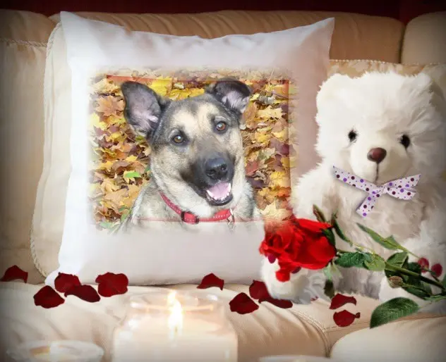 Condolence image of Sonntags❤️Rosen❤️❤️❤️❤️❤️❤️