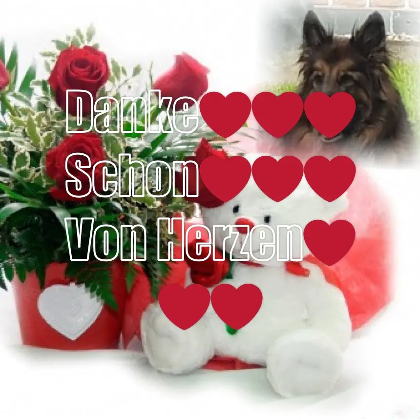 Condolence image of Danke Schon❤️❤️❤️❤️❤️❤️❤️❤️