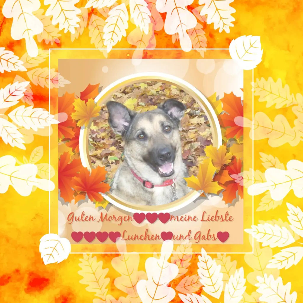 Condolence image of Guten Morgen❤❤❤Liebste❤❤❤Lunchen❤