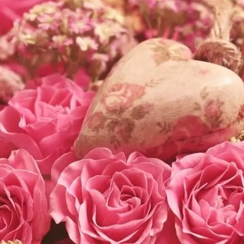 Condolence image of Eine Ewigkeitsrose für Luna und Gabriele