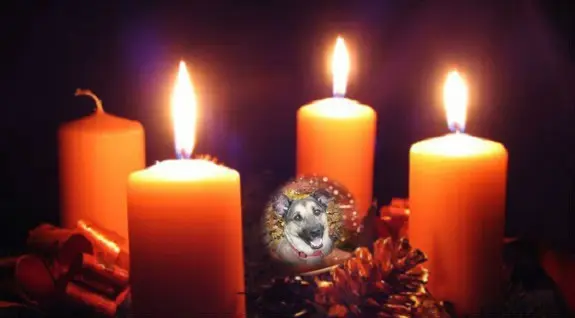 Condolence image of 3. Advent❤❤❤