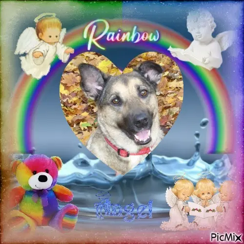 Condolence image of 5.Sternchen❤Gedenktag❤❤❤❤❤