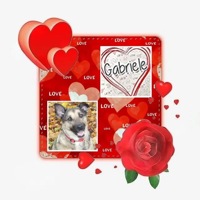 Condolence image of Samstag❤️Rosen❤️❤️❤️❤️❤️❤️❤️