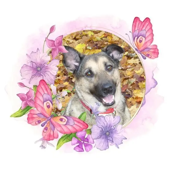 Condolence image of Samstag❤️Rosen❤️❤️❤️❤️❤️❤️❤️