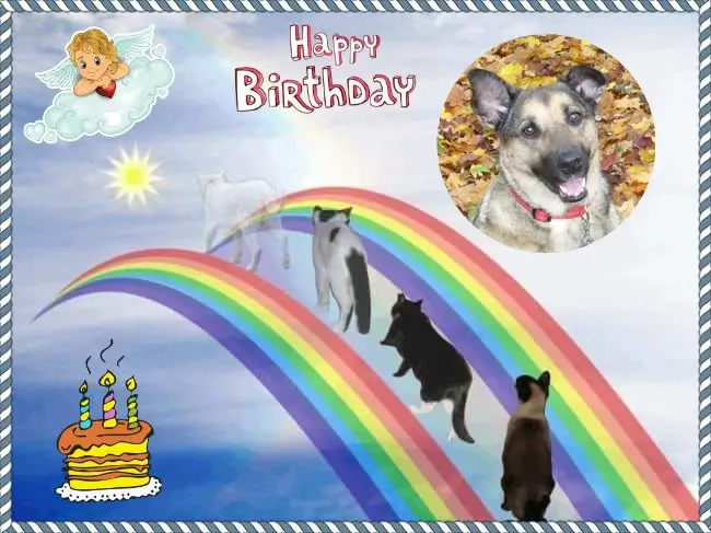 Condolence image of 17. Geburtstag❤️Unsere Liebste❤️❤️❤️❤️❤️❤️Lunchen❤️⭐️