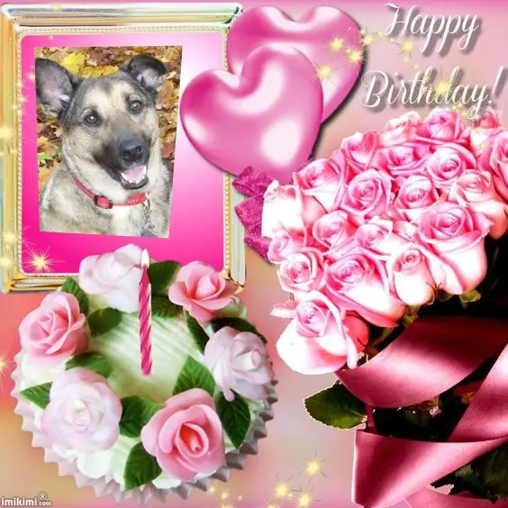 Condolence image of 17. Geburtstag❤️Unsere Liebste❤️❤️❤️❤️❤️❤️Lunchen❤️⭐️