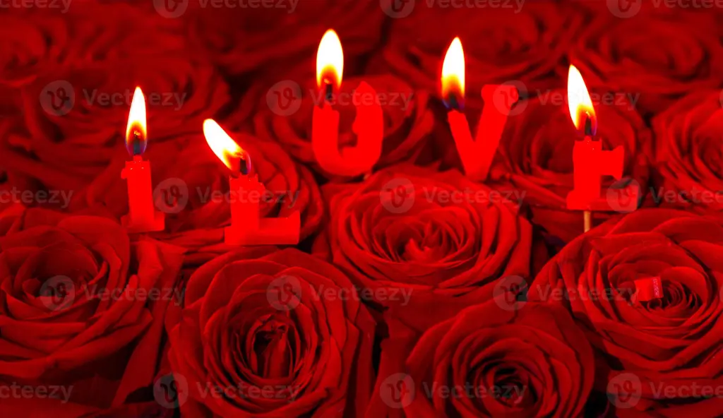Condolence image of ❤️❤️❤️❤️❤️❤️❤️❤️❤️❤️❤️❤️