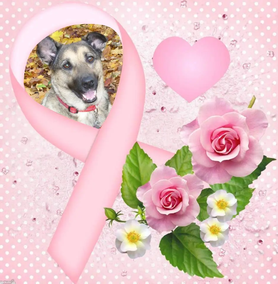 Condolence image of Sonntags❤️Rosen❤️❤️❤️❤️❤️❤️