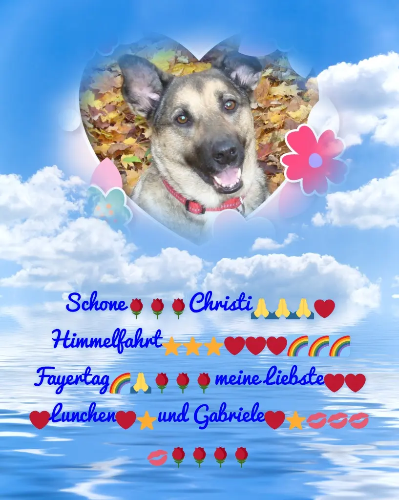 Condolence image of Schone❤️❤️❤️Fayertag❤️