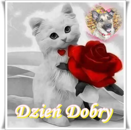 Condolence image of Sonntags❤️Rosen❤️❤️❤️❤️❤️❤️