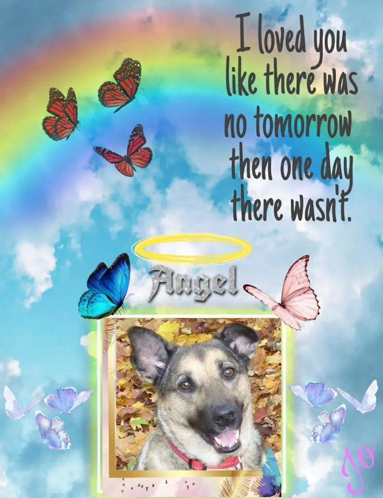 Condolence image of Sonntag❤️Rosenchen❤️❤️❤️❤️❤️❤️