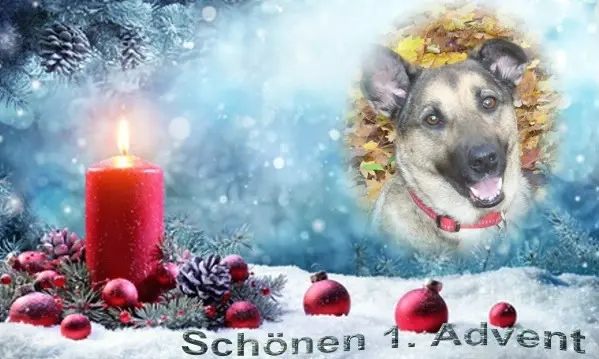 Condolence image of 1.Advent❤Sonntag❤